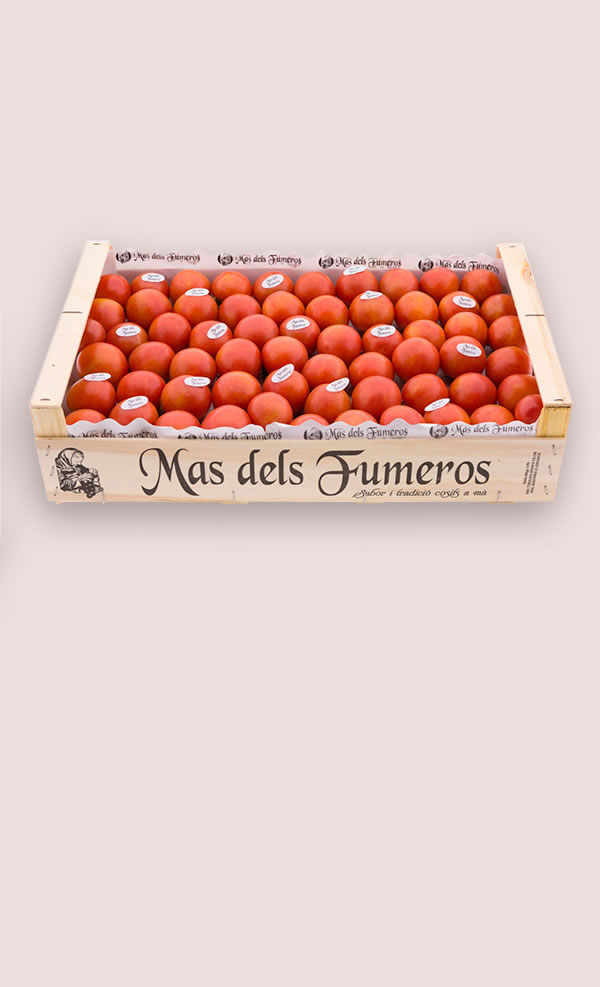 Tomate Granel 7 kg