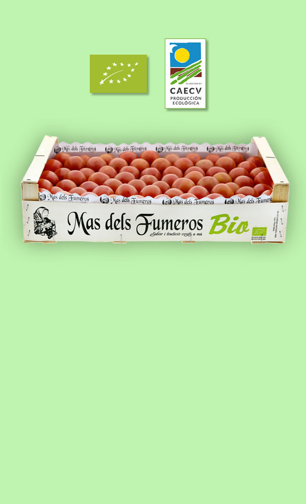 Tomate Granel BIO 7 kg