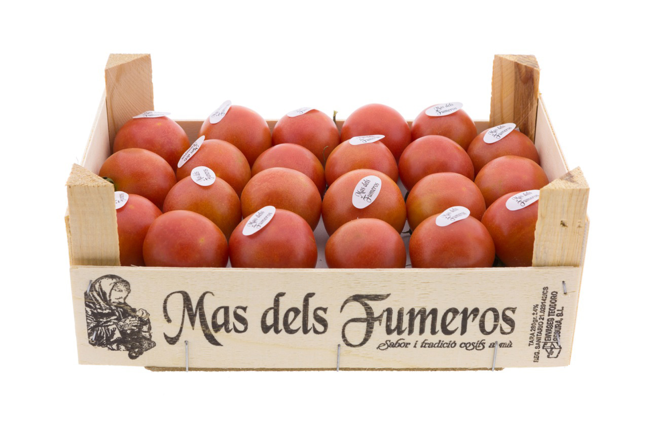 Tomate suspendue (pitufos) de Mas dels Fumeros