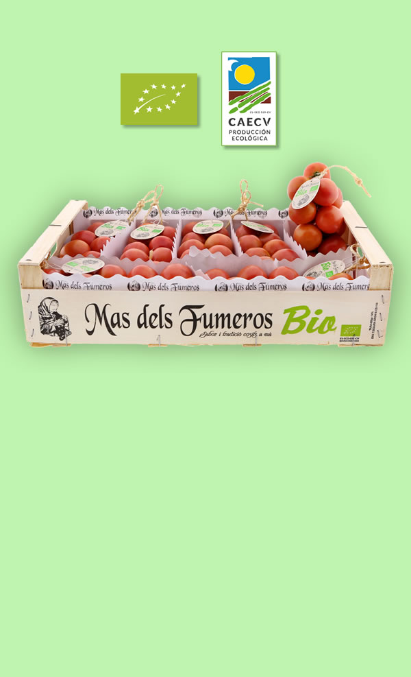 Tomate ristra BIO 700 gr