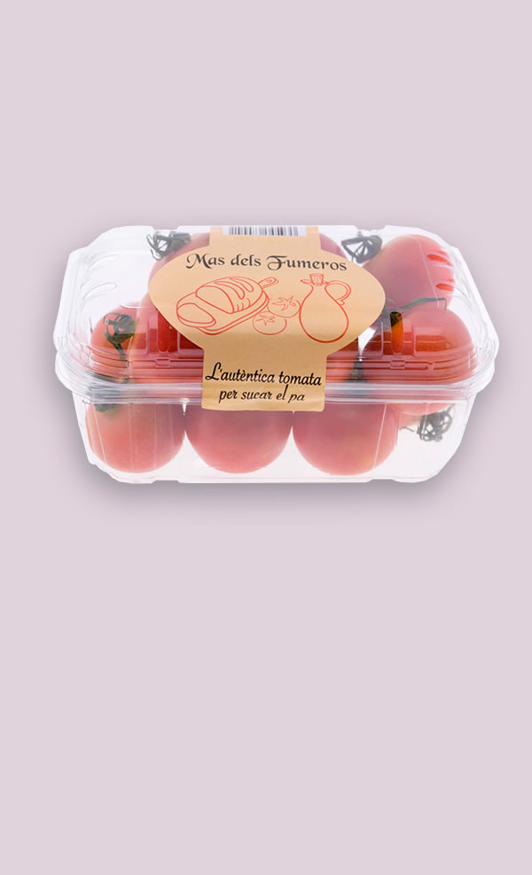 Tomate Tarrina 500gr