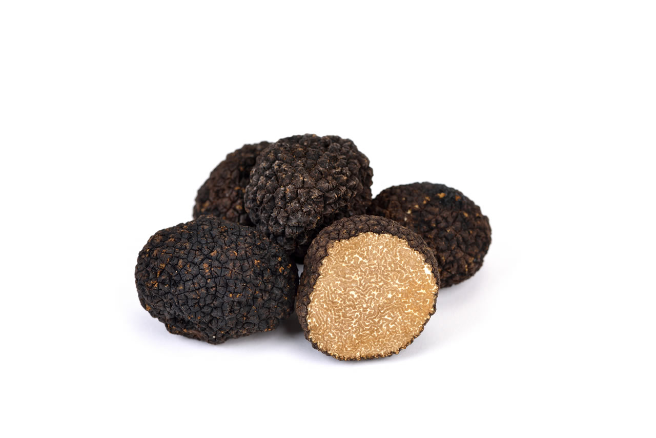 White Truffle Aestivum de Mas dels Fumeros