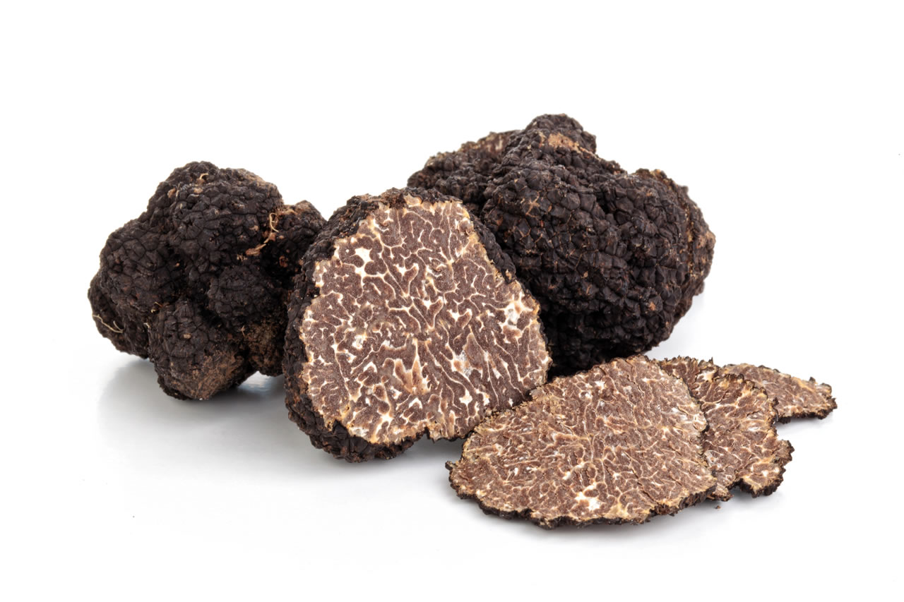Melanosporum Black truffle de Mas dels Fumeros